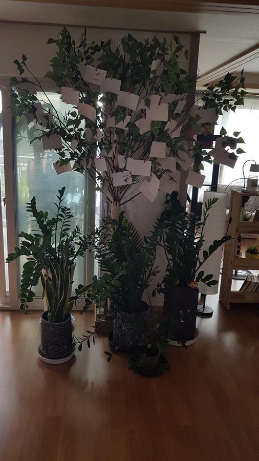 Airbuddy Guesthouse Incheon Airport Zewnętrze zdjęcie